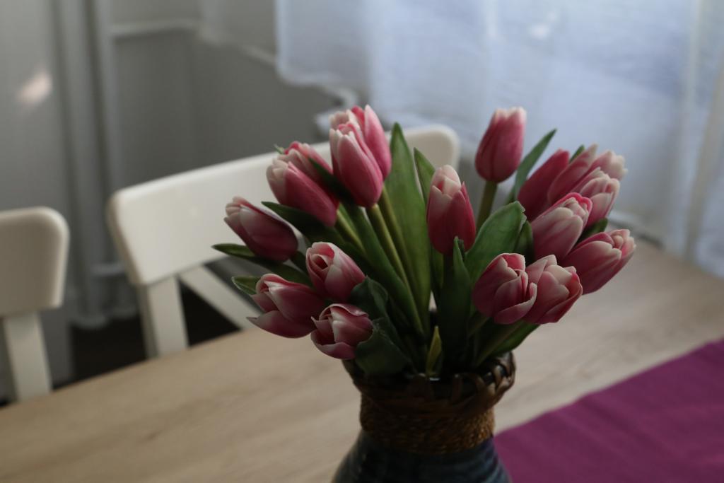 Joop Apartment زغرب المظهر الخارجي الصورة